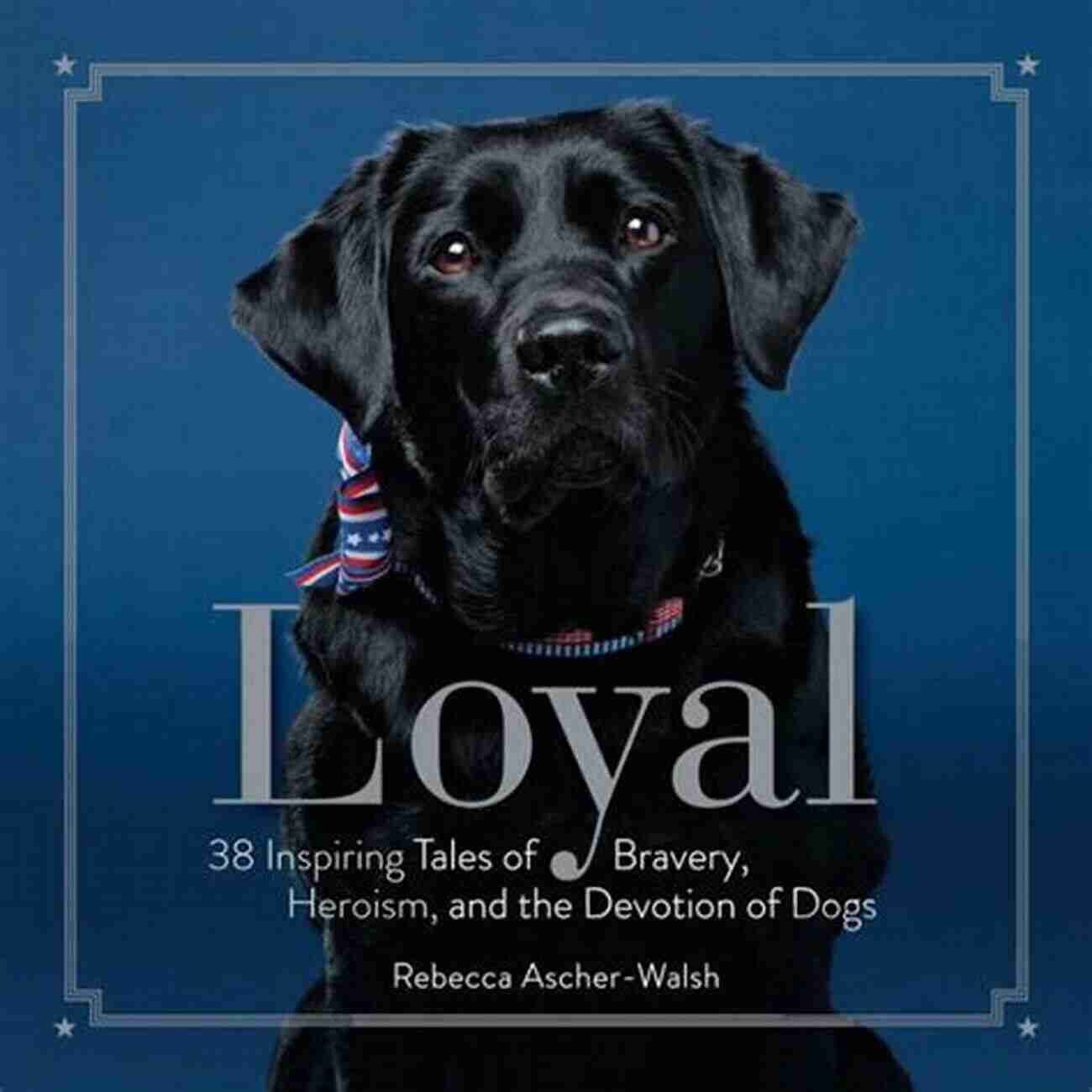 38 Inspiring Tales Of Bravery, Heroism, And The Devotion Of Dogs Loyal: 38 Inspiring Tales Of Bravery Heroism And The Devotion Of Dogs