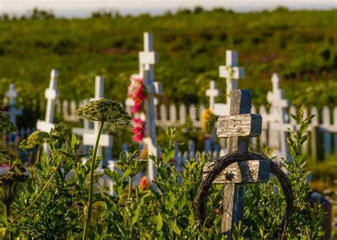 A Beautiful Cemetery, Showcasing The Peaceful Resting Place Of The Departed Living Among The Dead: My Grandmother S Holocaust Survival Story Of Love And Strength (Holocaust Survivor True Stories WWII)