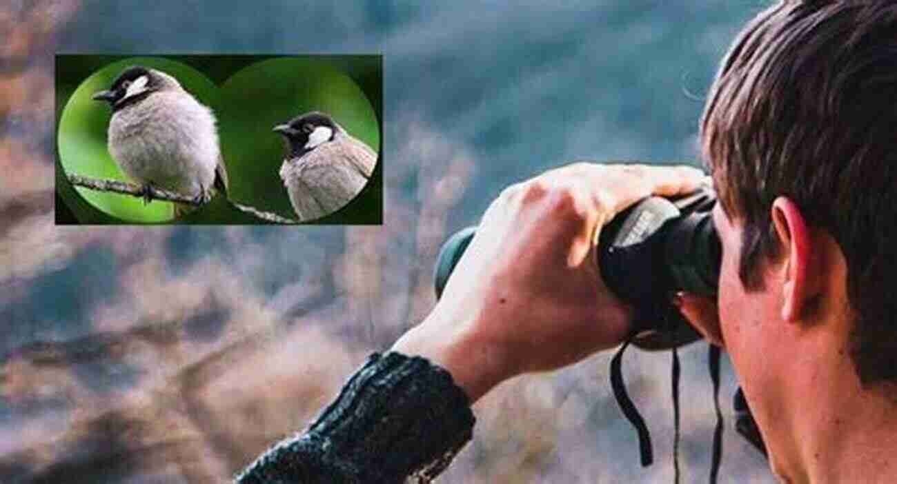 A Birdwatcher With Binoculars Observing A Magnificent Bird AVITOPIA Birds Of Argentina