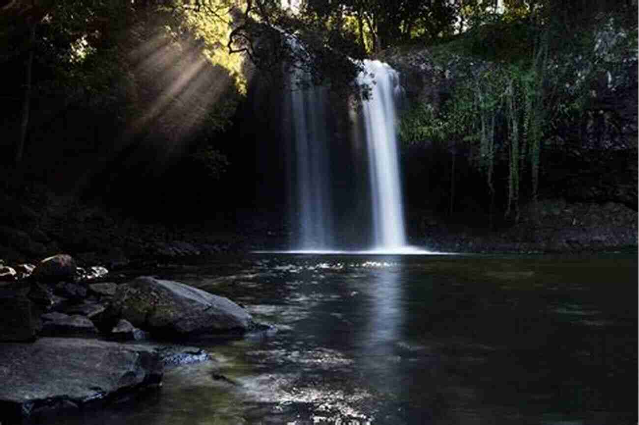 A Breathtaking Forest In The Hinterland, Where Magical Beings Roam Tales From The Hinterland (The Hazel Wood)