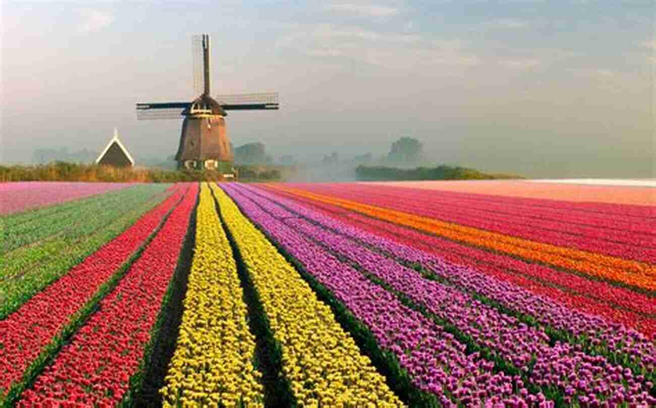 A Close Up View Of A Vast Tulip Field In The Netherlands, Showcasing A Beautiful Variety Of Colors Photo Essay: Beauty Of The Netherlands: Volume 62B (Travel Photo Essays)