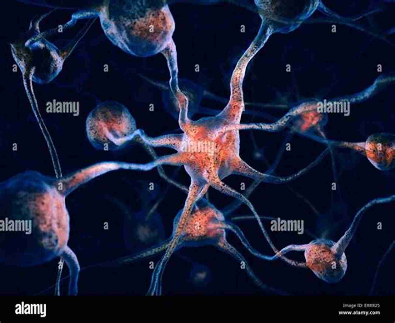 A Complex Network Of Neurons Inside The Human Brain The Brain: Everything You Need To Know