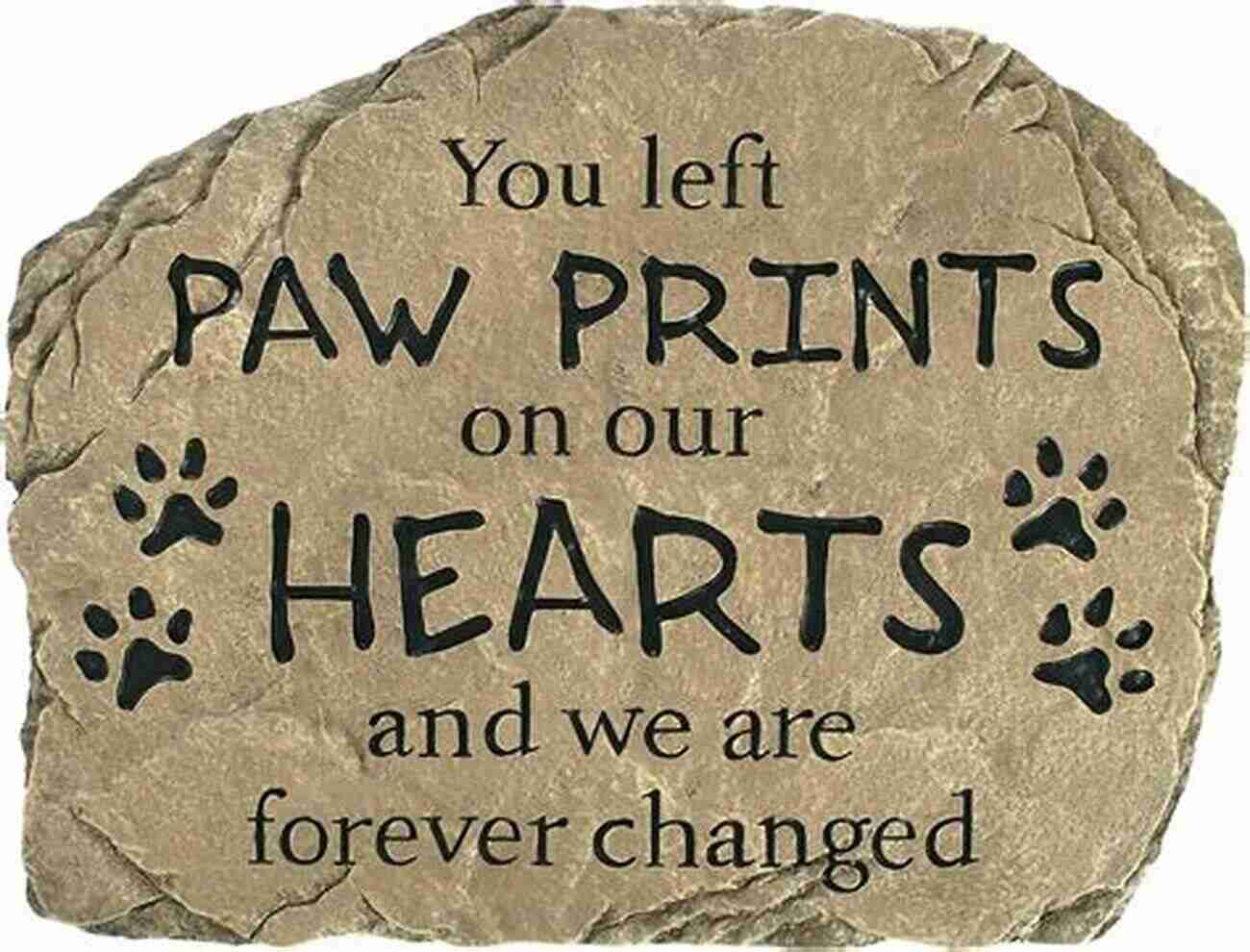 A Dog's Paw Prints And A Heart In The Sand, Representing Cherished Memories Living With Grace: A Story Of Love And Healing Leaving Paw Prints On The Heart