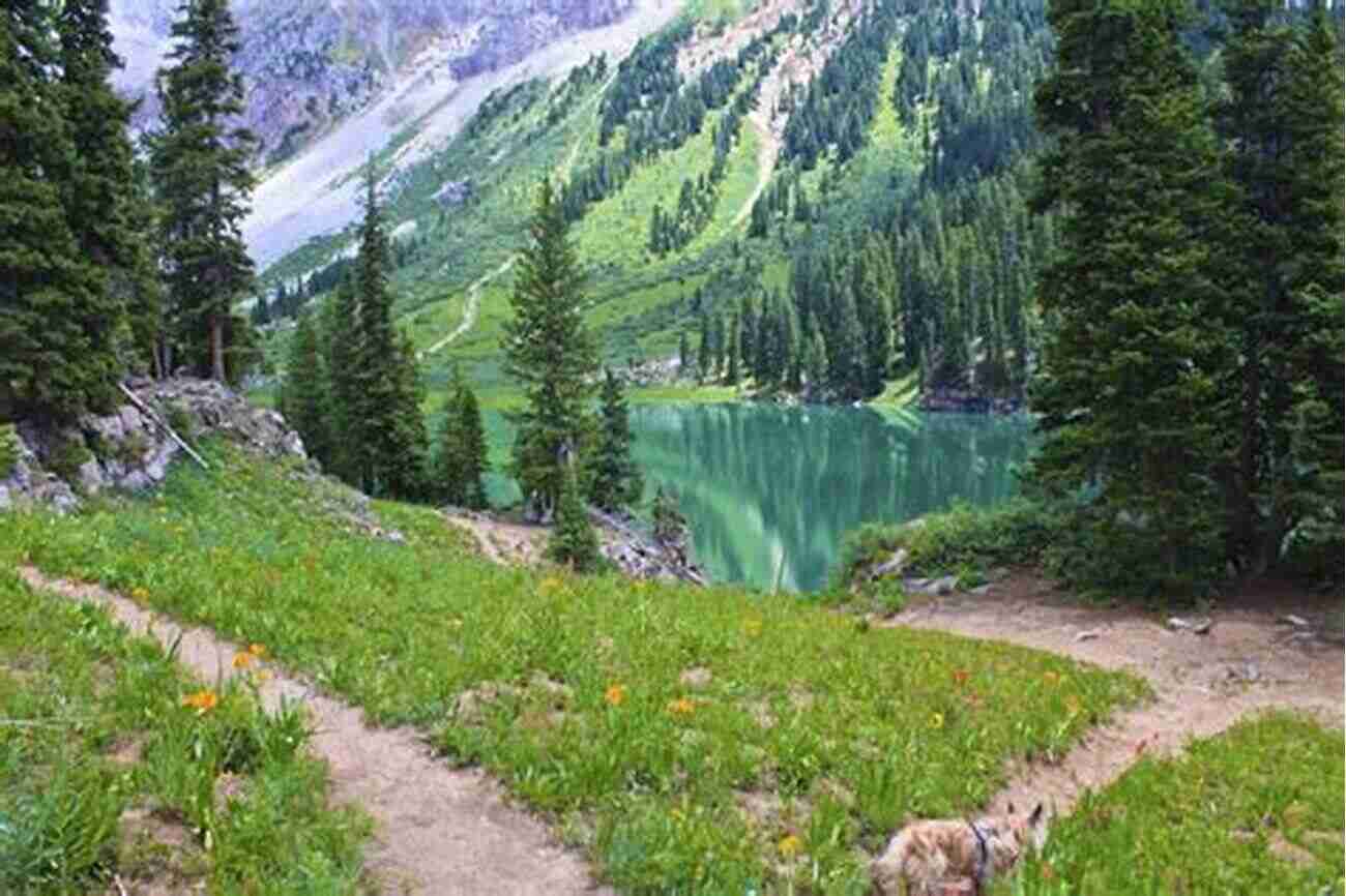 A Hiker Enjoying The Scenic Trails Surrounding Geneva Lake Geneva Lake (Images Of America)