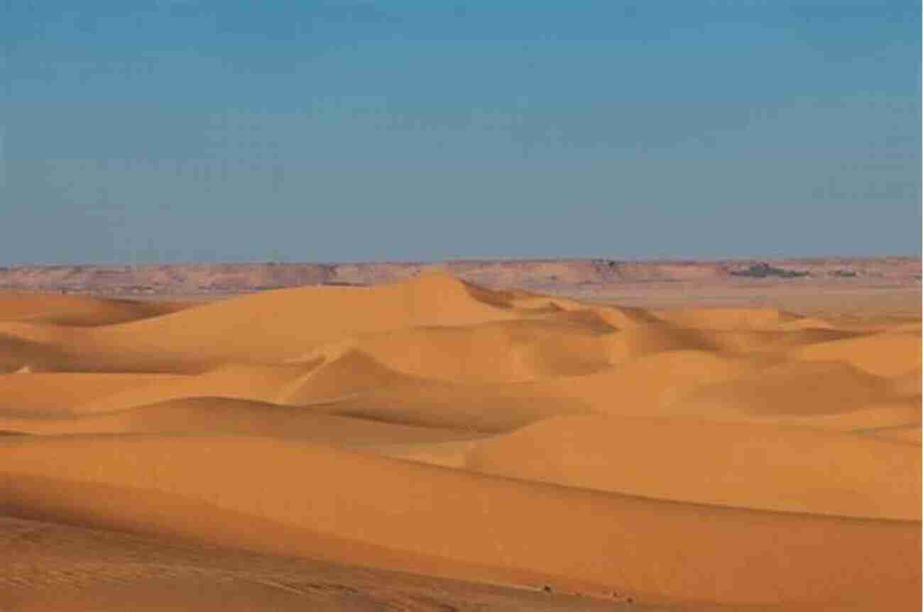 A Mesmerizing View Of A Desolate Desert With Towering Sand Dunes Stretching Endlessly They Can Live In The Desert But Nowhere Else : A History Of The Armenian Genocide (Human Rights And Crimes Against Humanity 23)