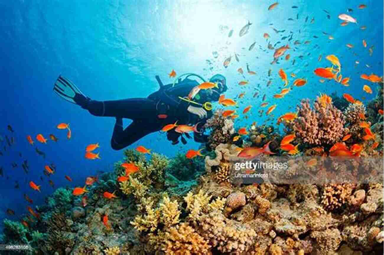 A Scuba Diver Exploring The Vibrant Coral Reef With An Abundance Of Marine Life The Ultimate Travel Guide To Key West