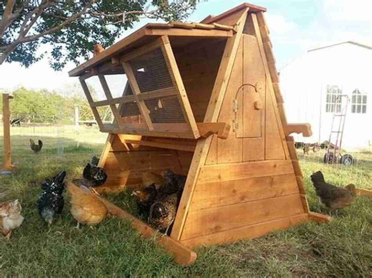 A Sturdy Chicken Coop Keeping Happy Healthy Chickens In Your Own Backyard: A Practical Guide To Raising Chickens At Home