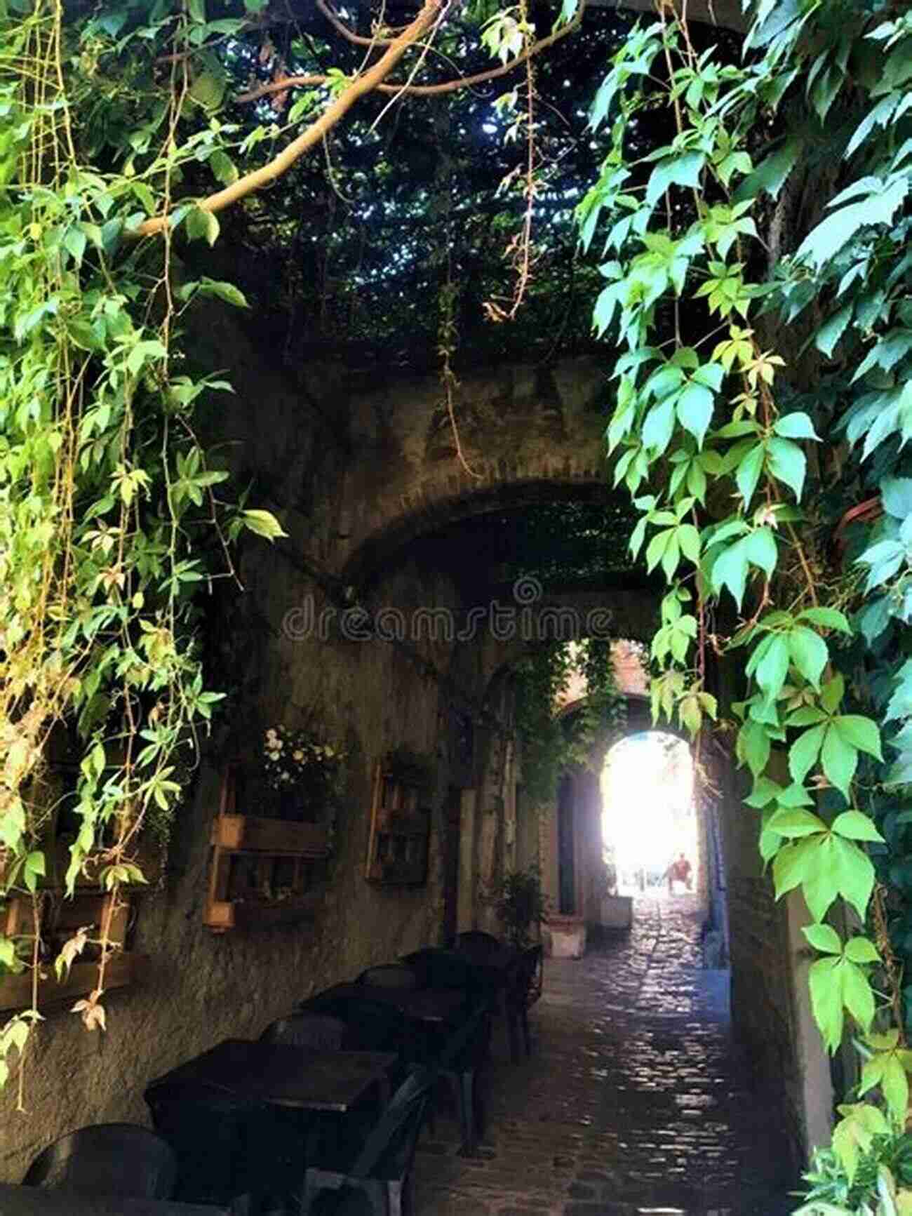 A Winding Path Leading To The Enchanting Region Of Umbria A Winding Path To Umbria: The Silent Bridge Of Time