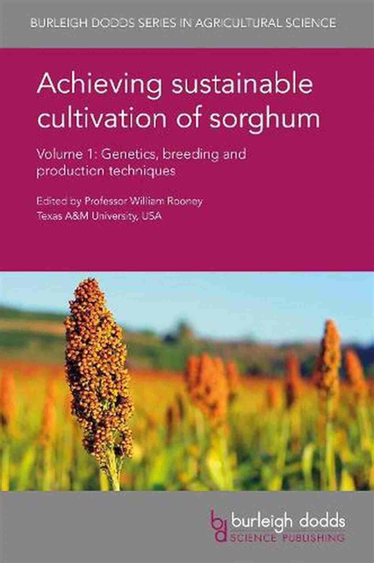 Achieving Sustainable Cultivation Of Sorghum Volume Breeding Resilient Varieties For Optimal Yields Achieving Sustainable Cultivation Of Sorghum Volume 1: Genetics Breeding And Production Techniques (Burleigh Dodds In Agricultural Science 31)