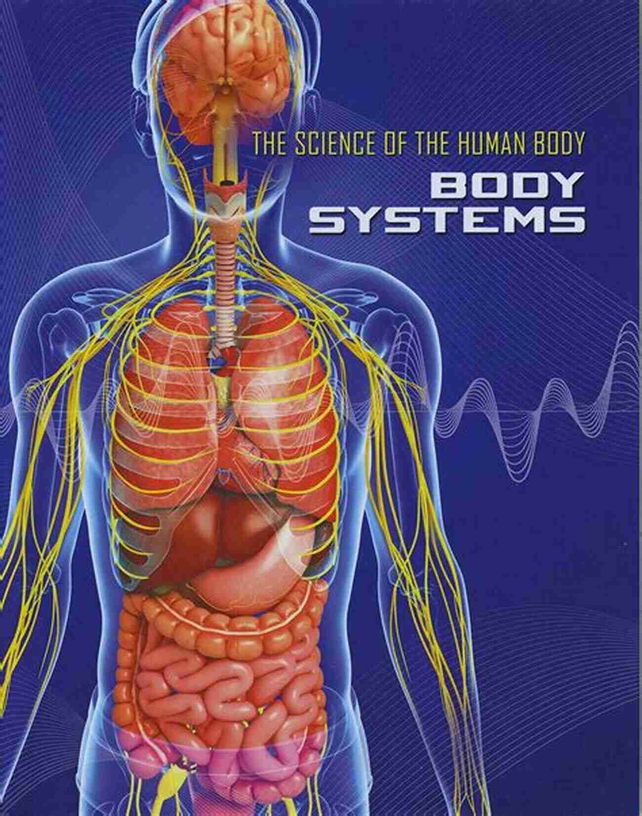 Anatomy Of The Human Body To The Human Body 11th Edition