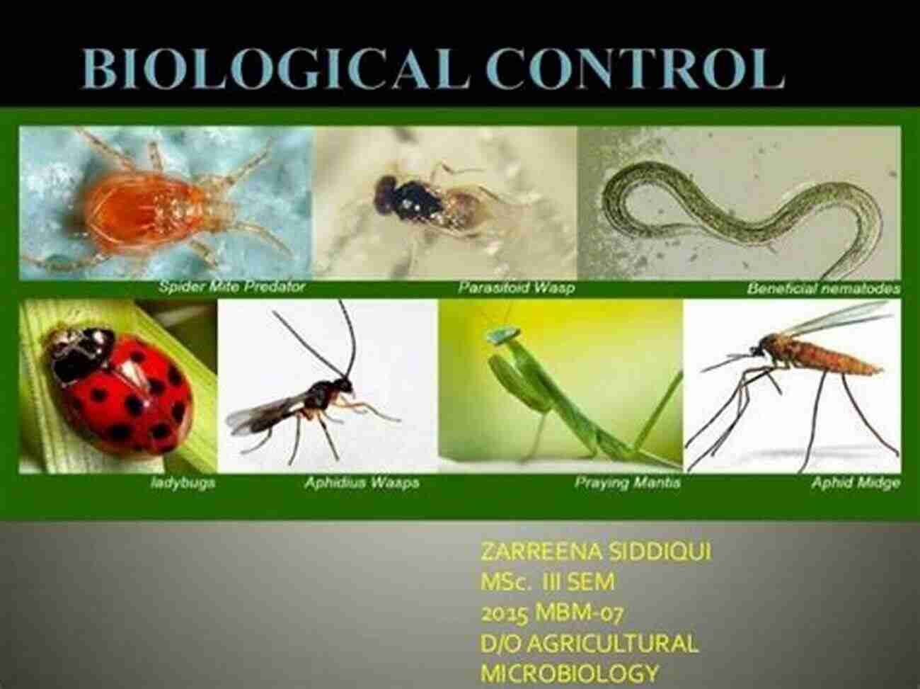 Biology Control In Agriculture: The IPM System Revolutionizing Pest Management Biology Control In Agriculture IPM System