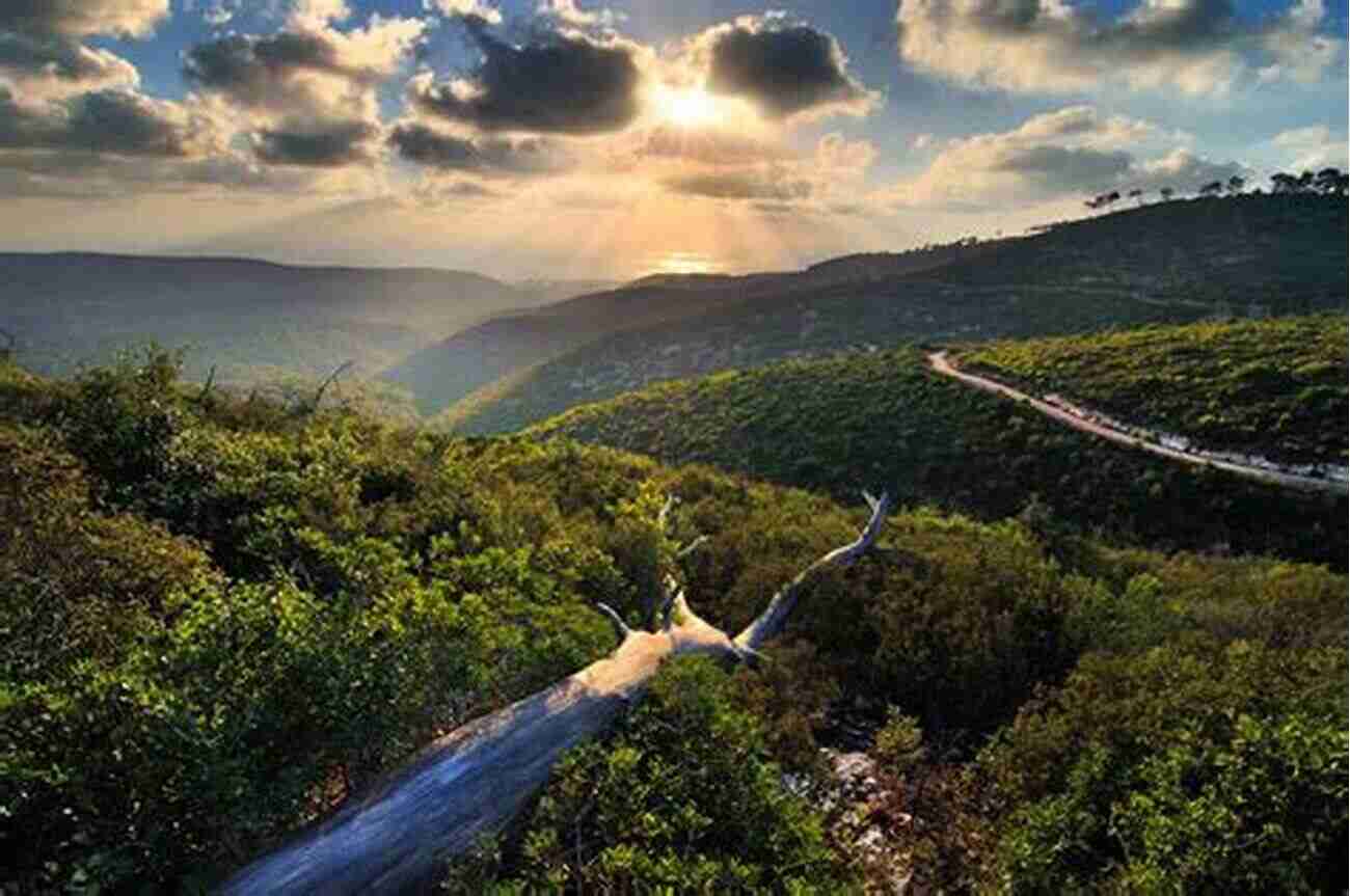 Boomers Enjoying The Scenic Beauty Of Israeli Nature Traveling Boomers Second Stop Israel