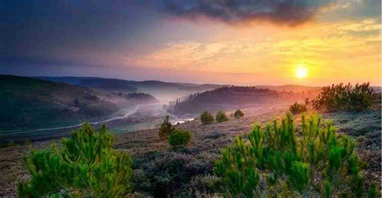 Boomers Exploring The Breathtaking Landscapes Of Israel Traveling Boomers Second Stop Israel