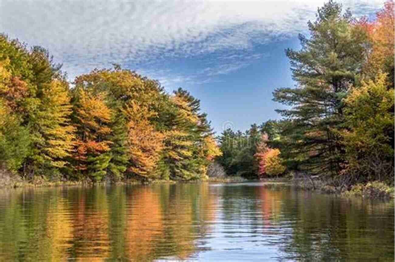 Breathtaking Fall Scenery With Vibrant Leaves Reflecting On Calm Lake Days Of The Fall: A Reporter S Journey In The Syria And Iraq Wars