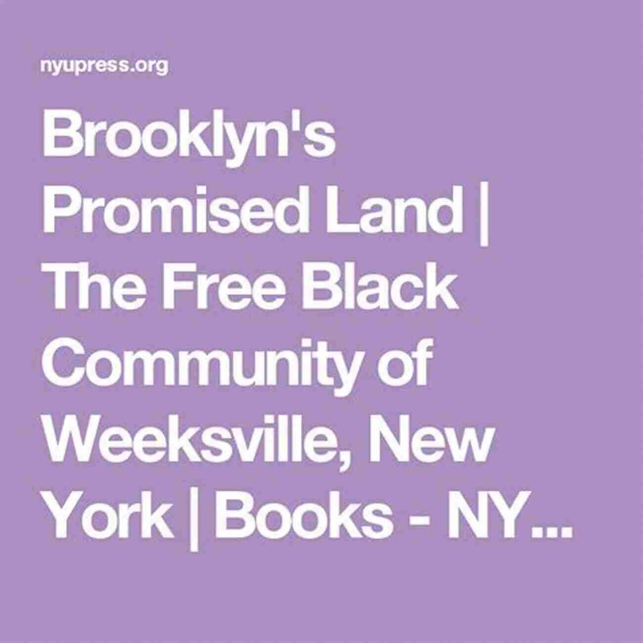 Brooklyn Spirit Brooklyn S Promised Land: The Free Black Community Of Weeksville New York