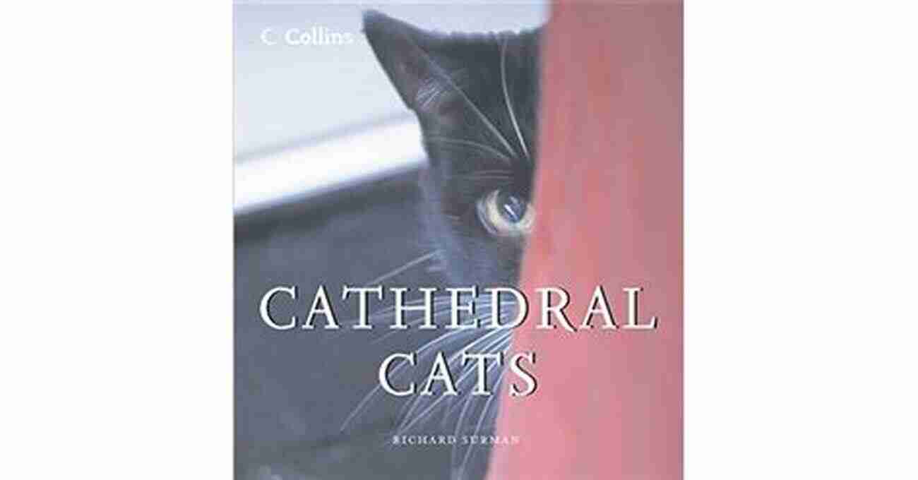 Cathedral Cats Richard Surman