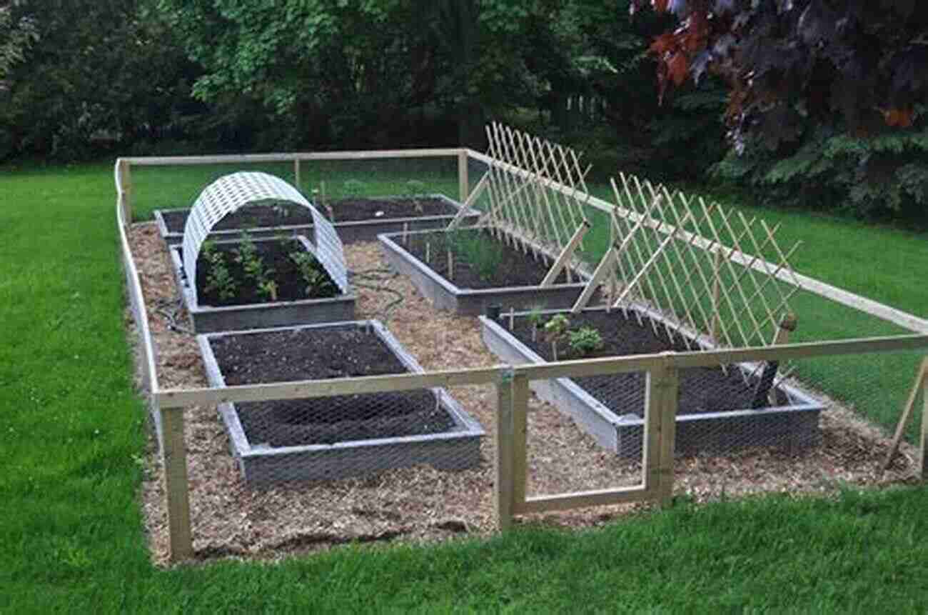 Chicken Wire Surrounding The Backyard Keeping Happy Healthy Chickens In Your Own Backyard: A Practical Guide To Raising Chickens At Home