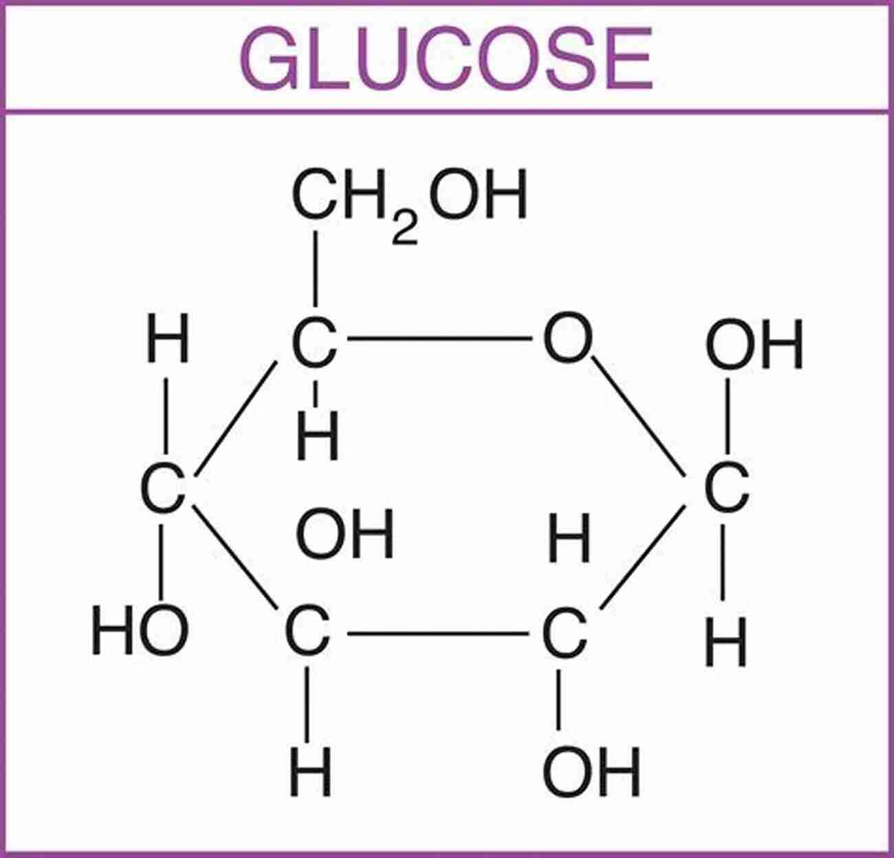 Close Up Of Sugar Molecules Forming A Carbohydrate The Physical Basis Of Biochemistry: Solutions Manual To The Second Edition