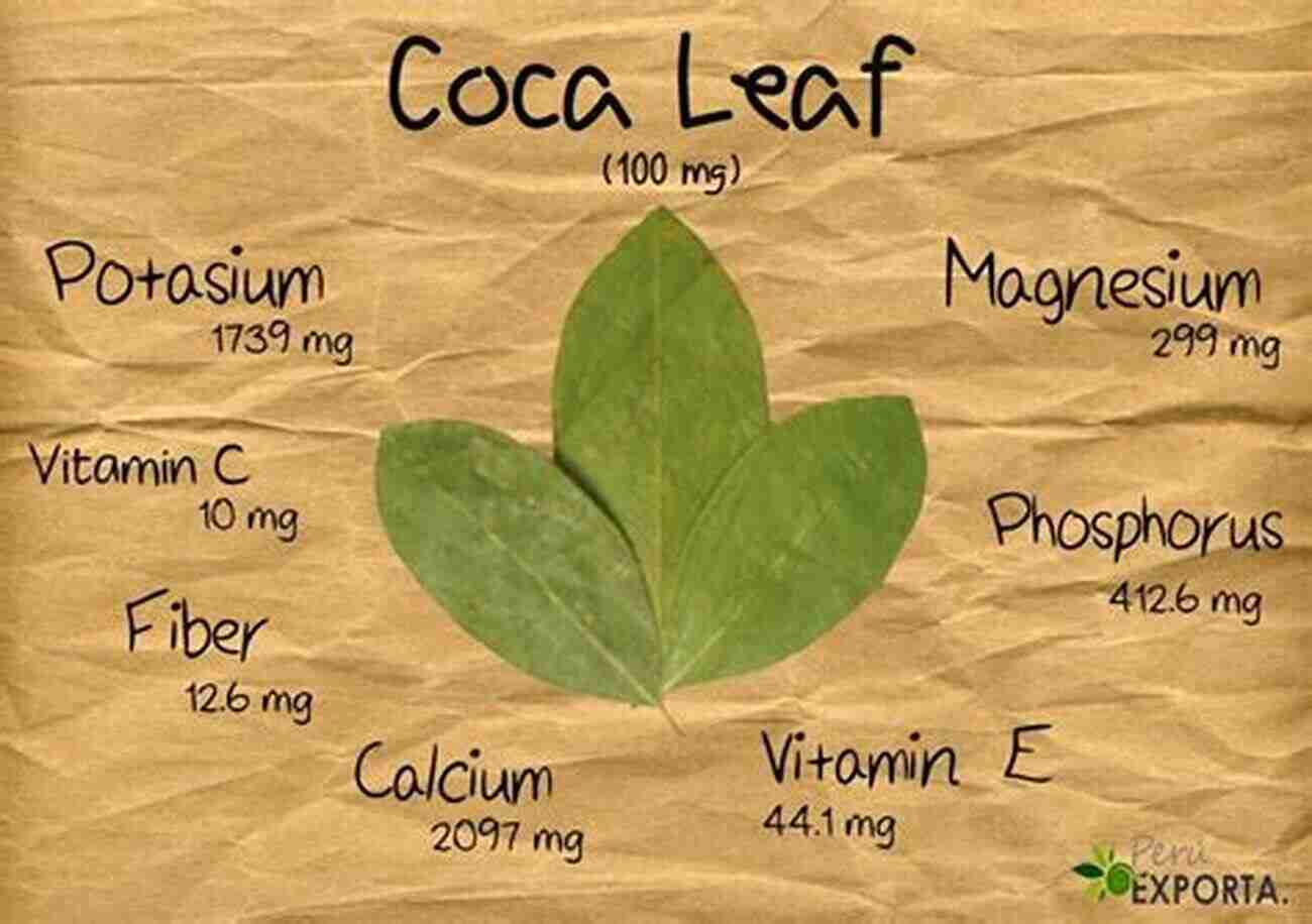 Coca An Ancient Medicinal Plant With Therapeutic Benefits Coca And Its Therapeutic Application (Illustrated)