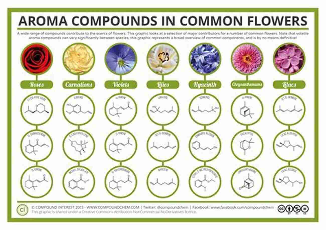 Colorful Flowers The Chemistry Of Plants: Perfumes Pigments And Poisons