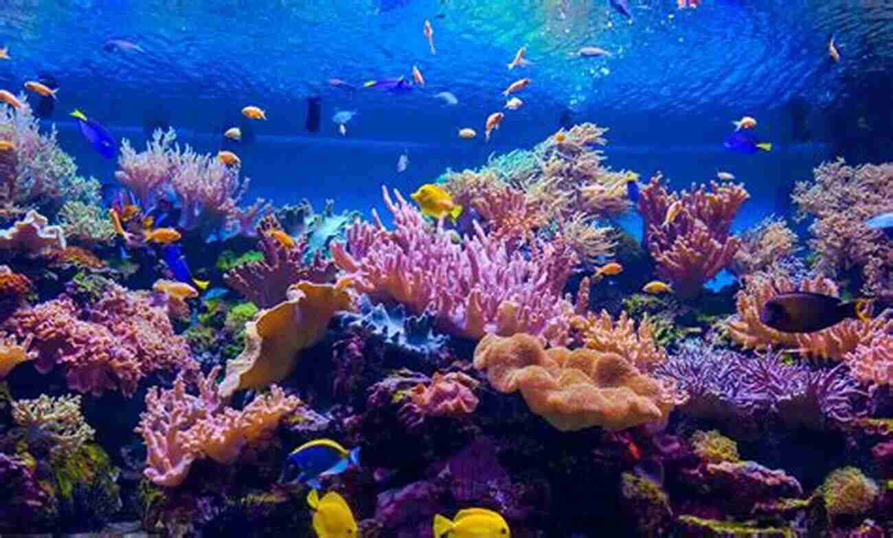 Colorful Coral Reefs Of Hawaii Paradise Of The Pacific: Approaching Hawaii