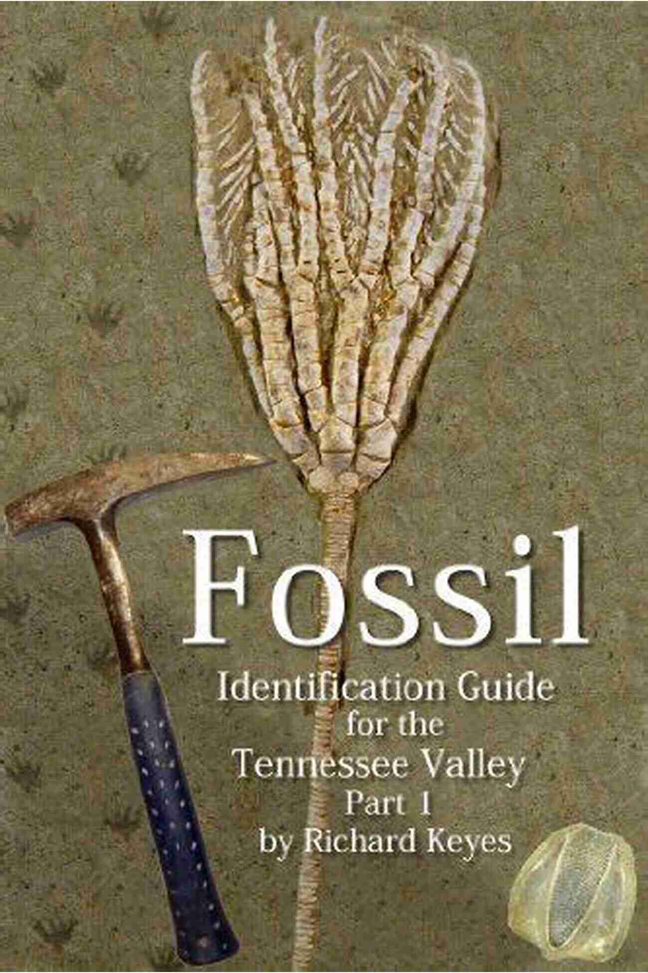 Complete Fossil Identification Guide For The Tennessee Valley Fossil Identification Guide For The Tennessee Valley Part 1