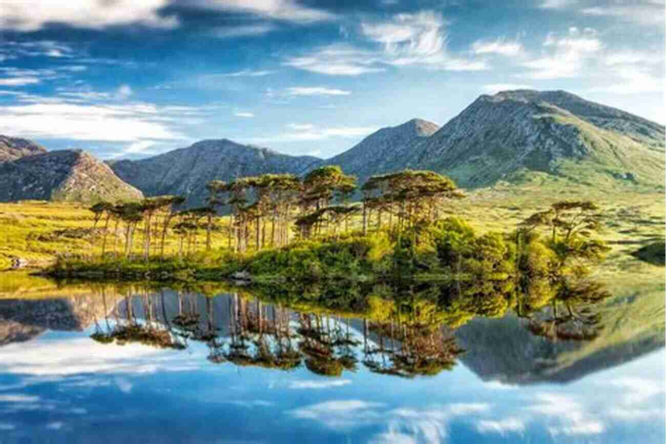 Connemara National Park Discovering The Majestic Beauty Of County Galway's Countryside A History Of County Galway: A Comprehensive Study Of Galway S History Culture And People