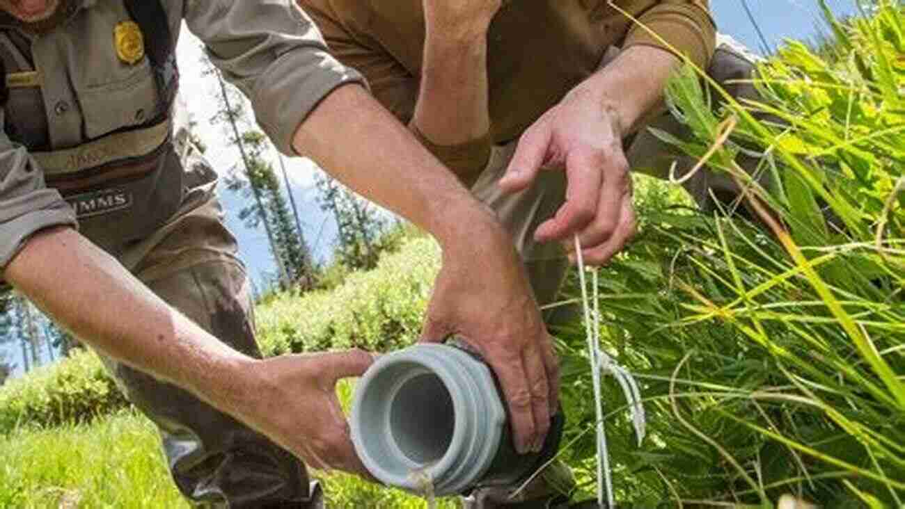 Conservation Efforts In West Yellowstone West Yellowstone (Images Of America)