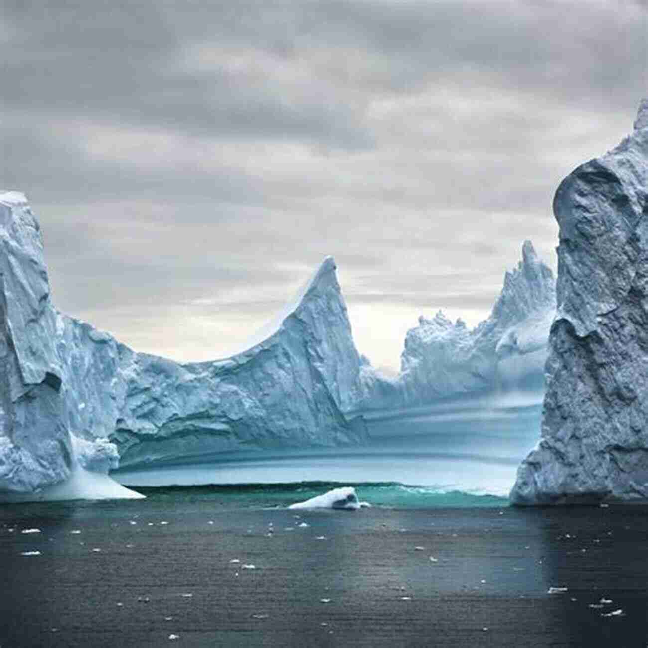 Conservation Photography Highlighting The Fragility Of Nature The Canary Connection Phillip Spolin