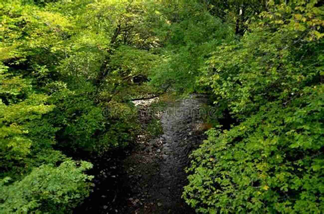 Crystal Clear Stream Cutting Through A Lush Forest In Washington County, Missouri Washington County Missouri Fishing Floating Guide Book: Complete Fishing And Floating Information For Washington County Missouri (Missouri Fishing Floating Guide Books)