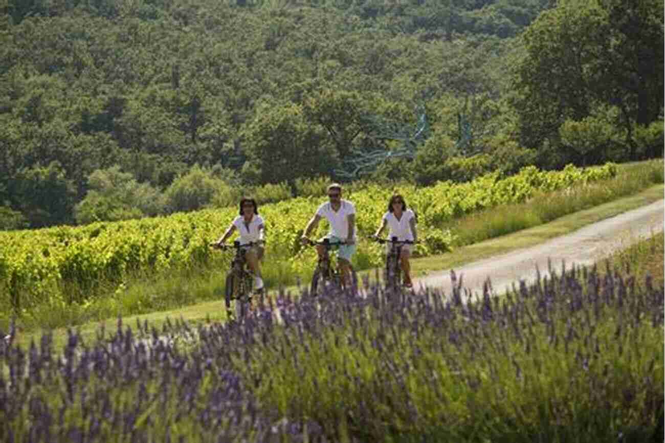 Cyclist Riding Through Lavender Fields In The Picturesque Countryside Of Provence Downhill All The Way: From La Manche To The Mediterranean By Bike