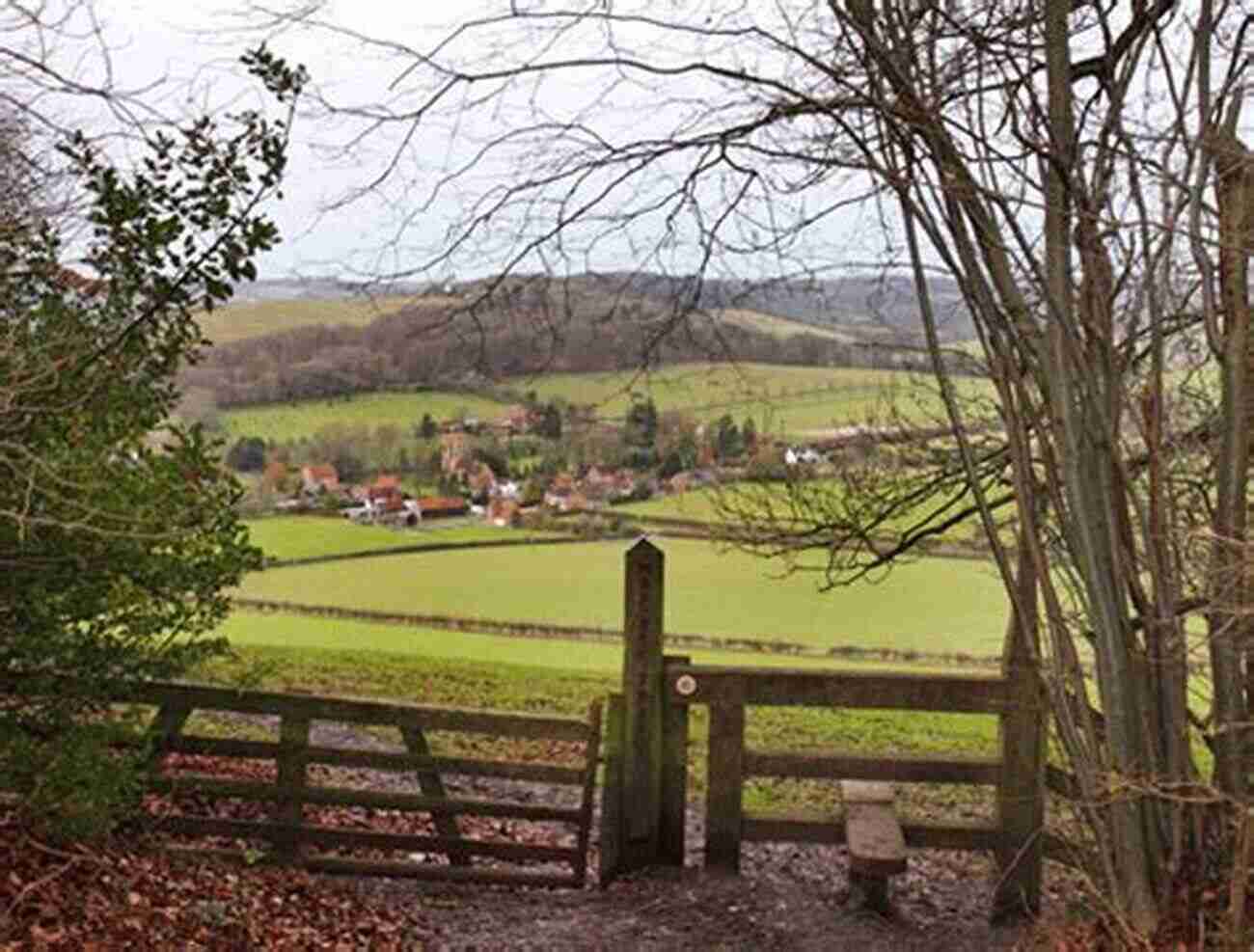 Discover The Enchanting Chiltern Hills Nature Near London (Collins Nature Library)