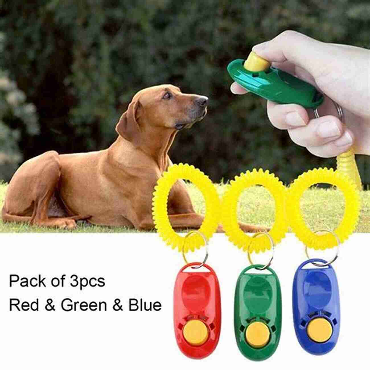 Dog Training Clicker How To Train Your Dog With A Clicker (It S All About Dogs 2)