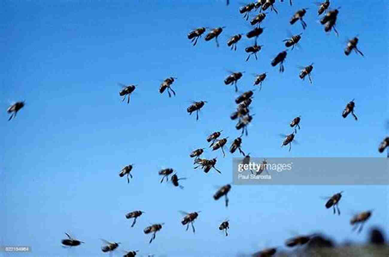 Drone Congregation Mating Biology Of Honey Bees (Apis Mellifera)