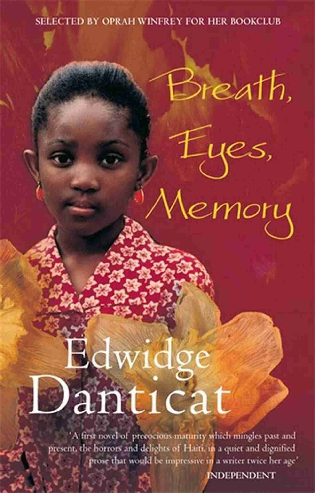 Edwidge Danticat's Breath, Eyes, Memory Book Cover Study Guide For Edwidge Danticat S Breath Eyes Memory (Course Hero Study Guides)