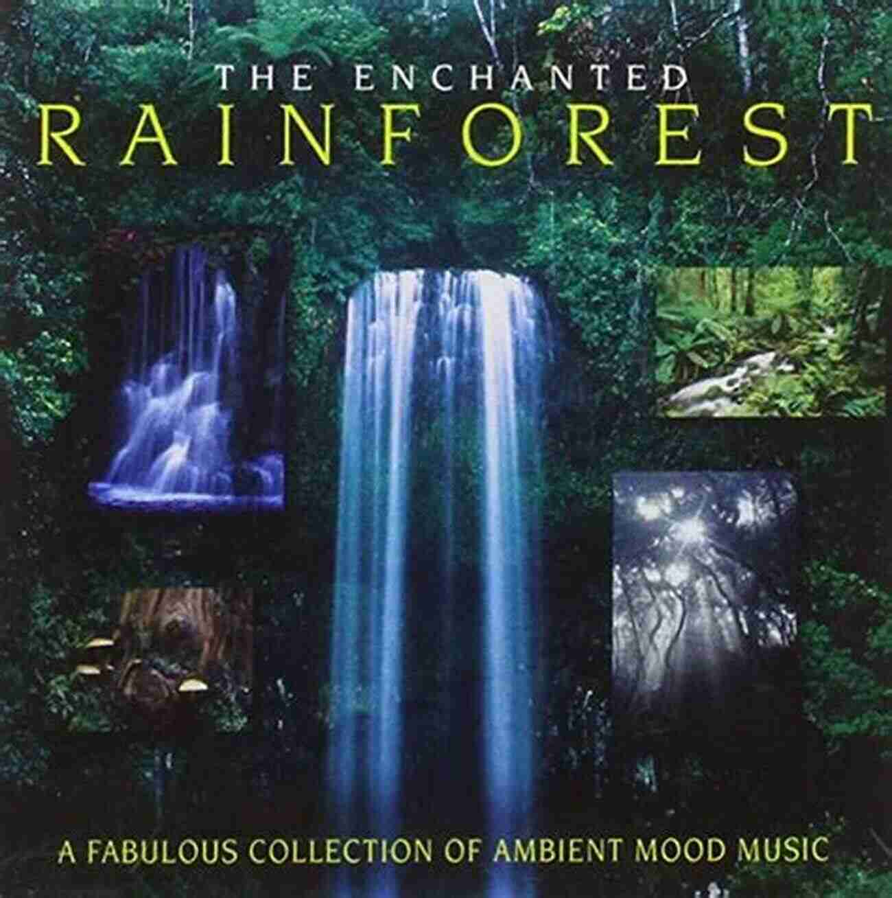 Enchanted Rainforest The Reality Creators: An Epic Fairytale About Life On Earth