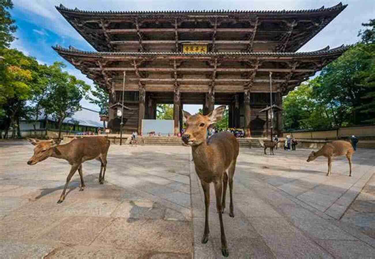 Experience The Tranquility Of Nara Deer Park, Ancient Temples, And Friendly Deer A Blogger S Guide To Japan