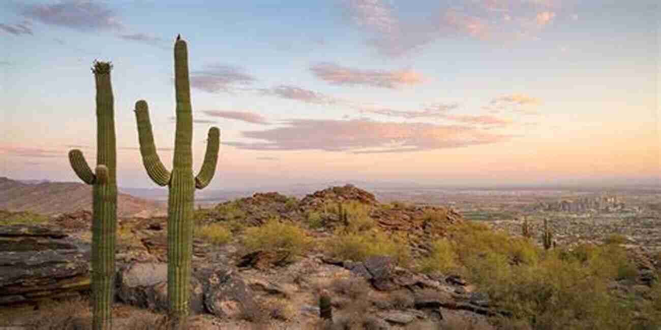 Exploring South Mountain Park And Preserve South Mountain Park And Preserve: A Guide To The Trails Plants And Animals In Phoenix S Most Popular City Park