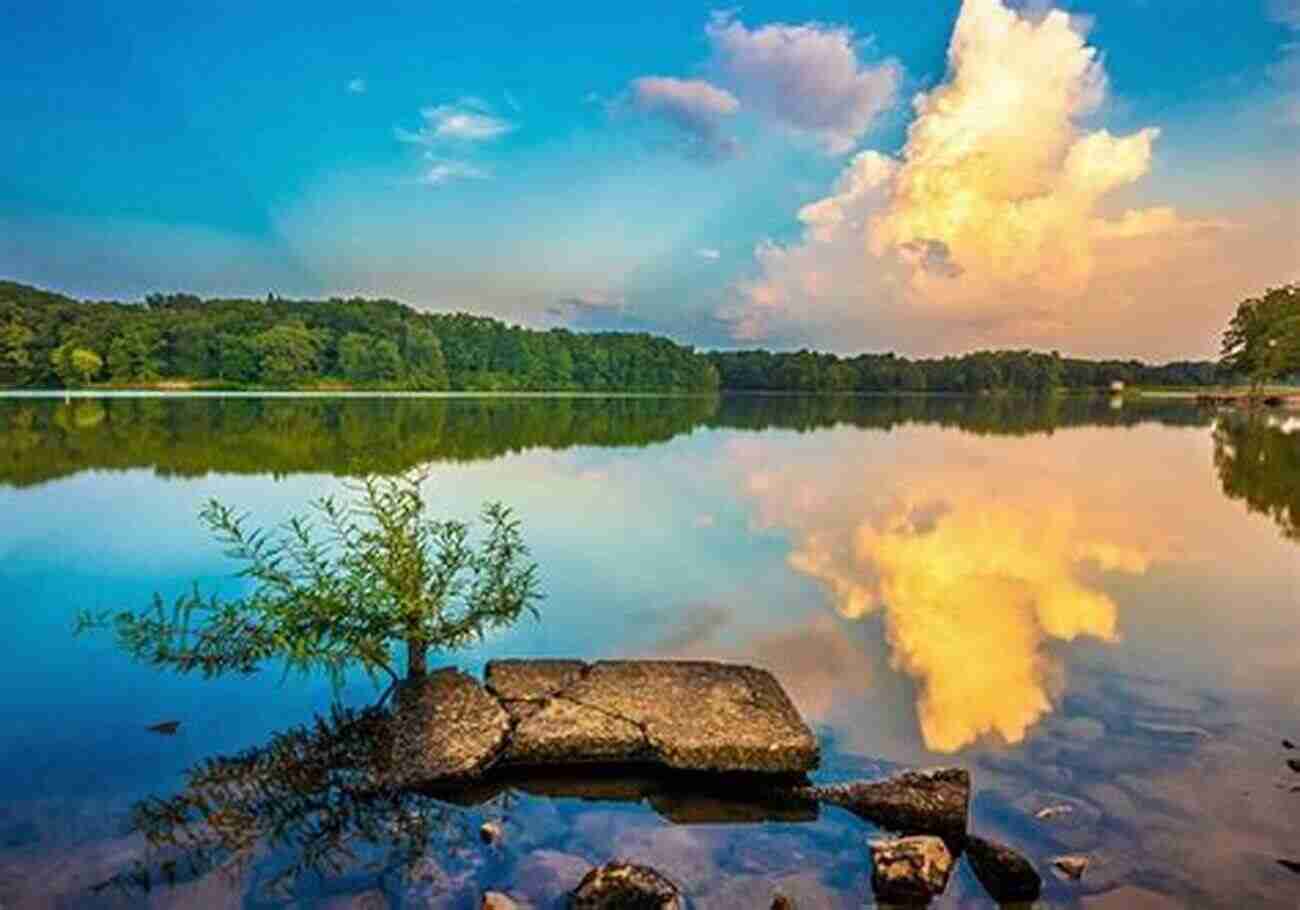 Exploring The Natural Beauty Of Mississippi A Place Like Mississippi: A Journey Through A Real And Imagined Literary Landscape