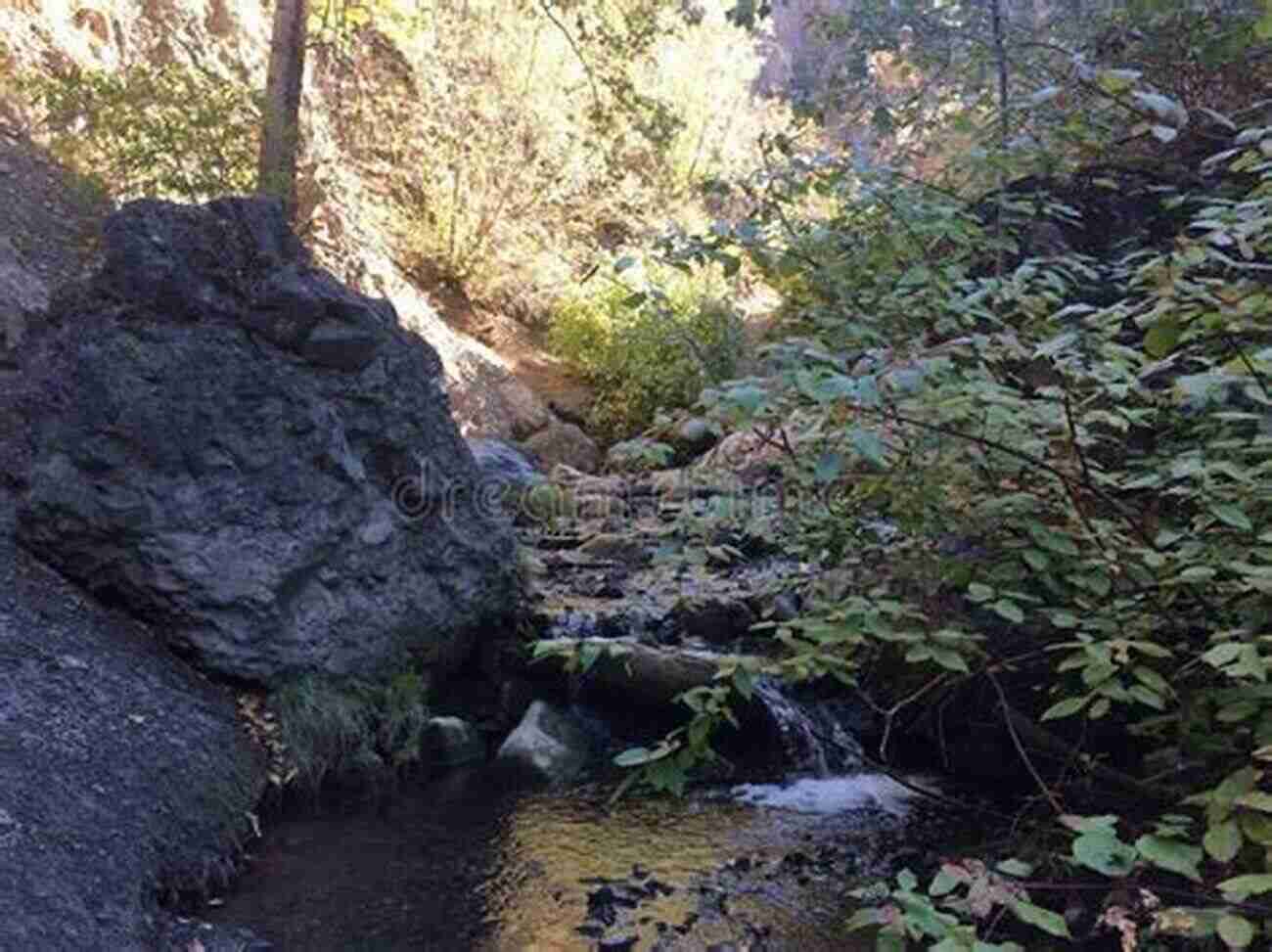 Fall Foliage At Peterson Creek Park Kamloops British Columbia Canada 2 In Colour Photos: Saving Our History One Photo At A Time (Cruising Canada 16)