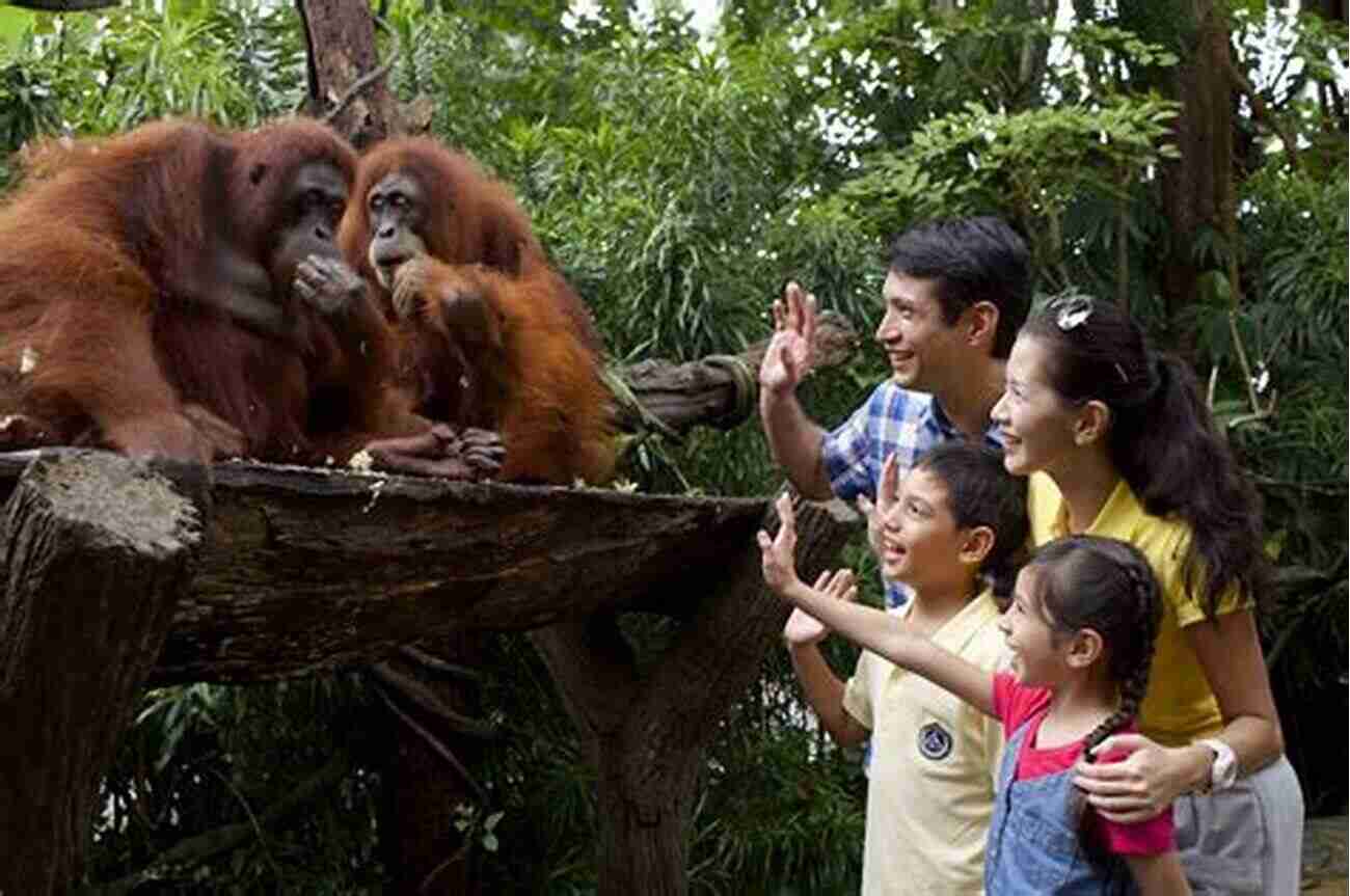 Family Visiting The Zoo Little London: Child Friendly Days Out And Fun Things To Do