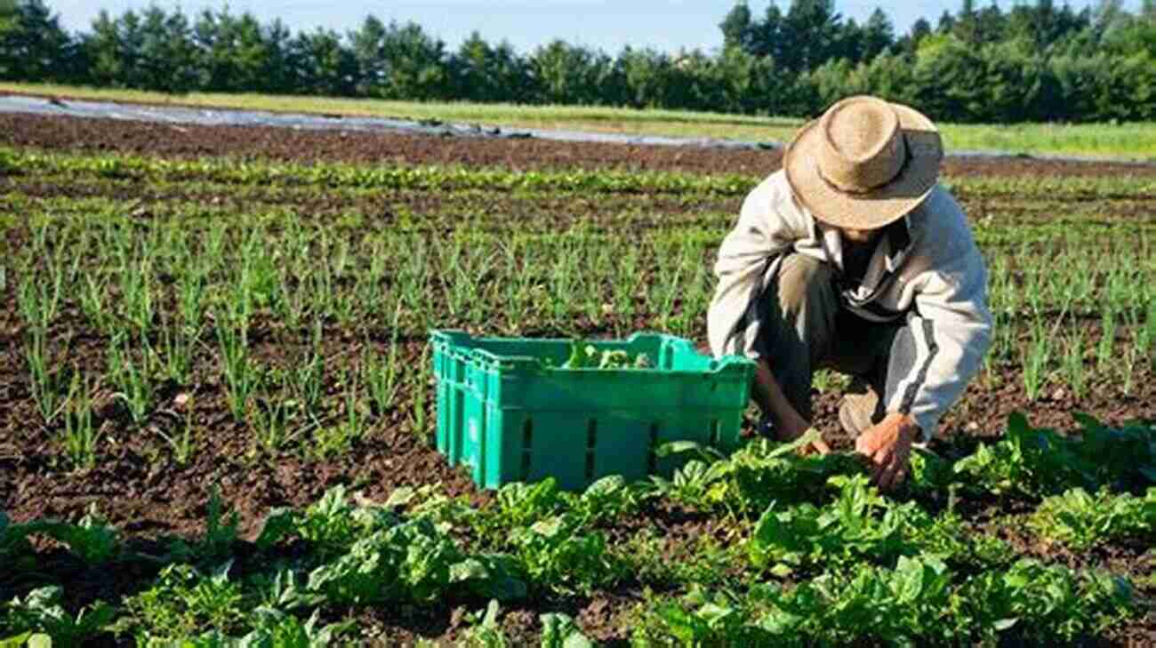 Farmworkers Standing In A Field, Working Together Ghostworkers And Greens: The Cooperative Campaigns Of Farmworkers And Environmentalists For Pesticide Reform