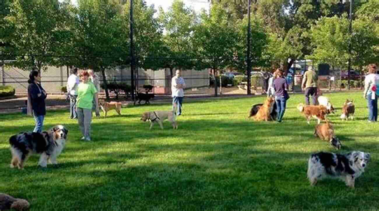 Gabriel Park Dog Off Leash Area Fenced Dog Park With Trees And Dogs Playing Portland Oregon The 10 Best Fenced Dog Parks