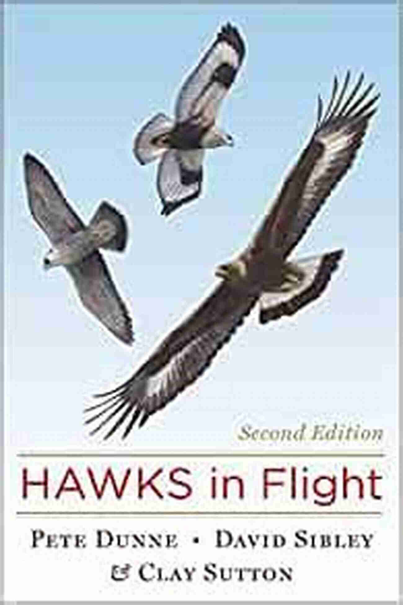 Hawks In Flight Second Edition: An Up Close Encounter With Majestic Hunters Hawks In Flight: Second Edition