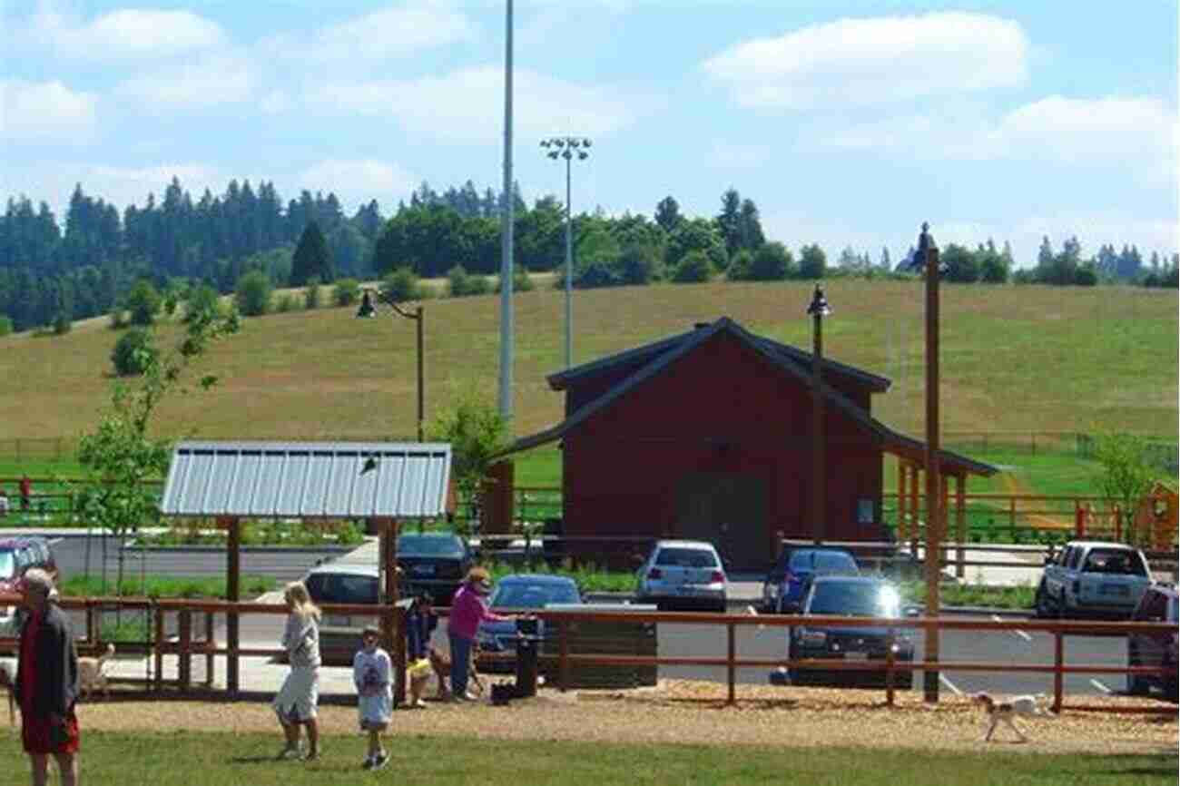 Hazelia Field Dog Park Fenced Area With Dogs Running And A Picturesque Mountain View Portland Oregon The 10 Best Fenced Dog Parks