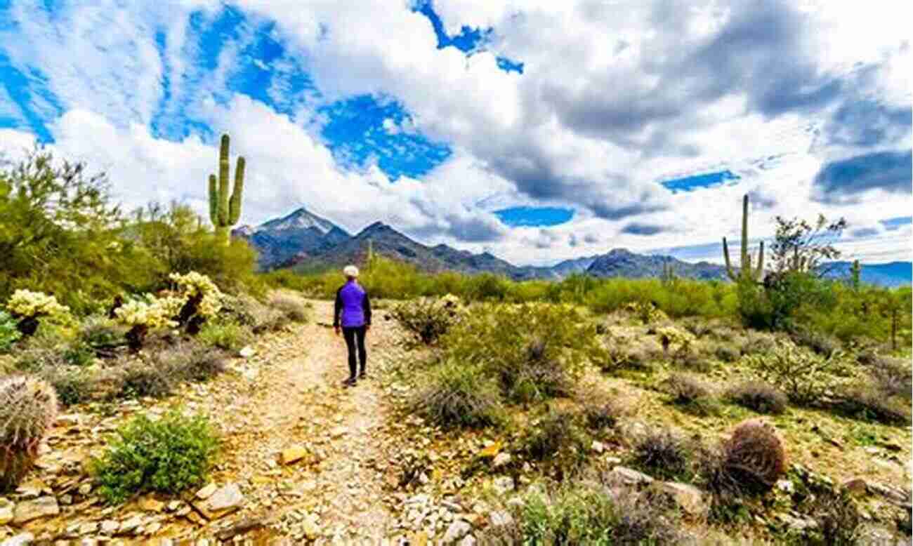 Hikers On McDowell Sonoran Preserve Trail The People S Preserve: How Scottsdale Created The McDowell Sonoran Preserve