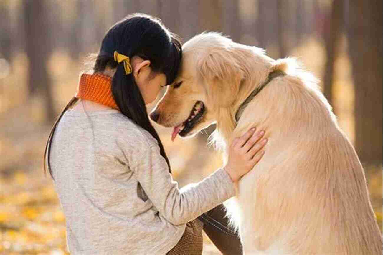 Humans And Dogs Sharing A Loving Moment Of Dogs And Meaning Riddhi Sanyal