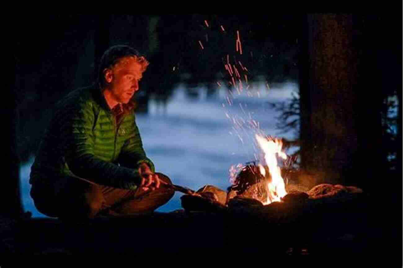 Humphrey Enjoying A Cozy Campfire Humphrey S Creepy Crawly Camping Adventure (Humphrey S Tiny Tales 3)