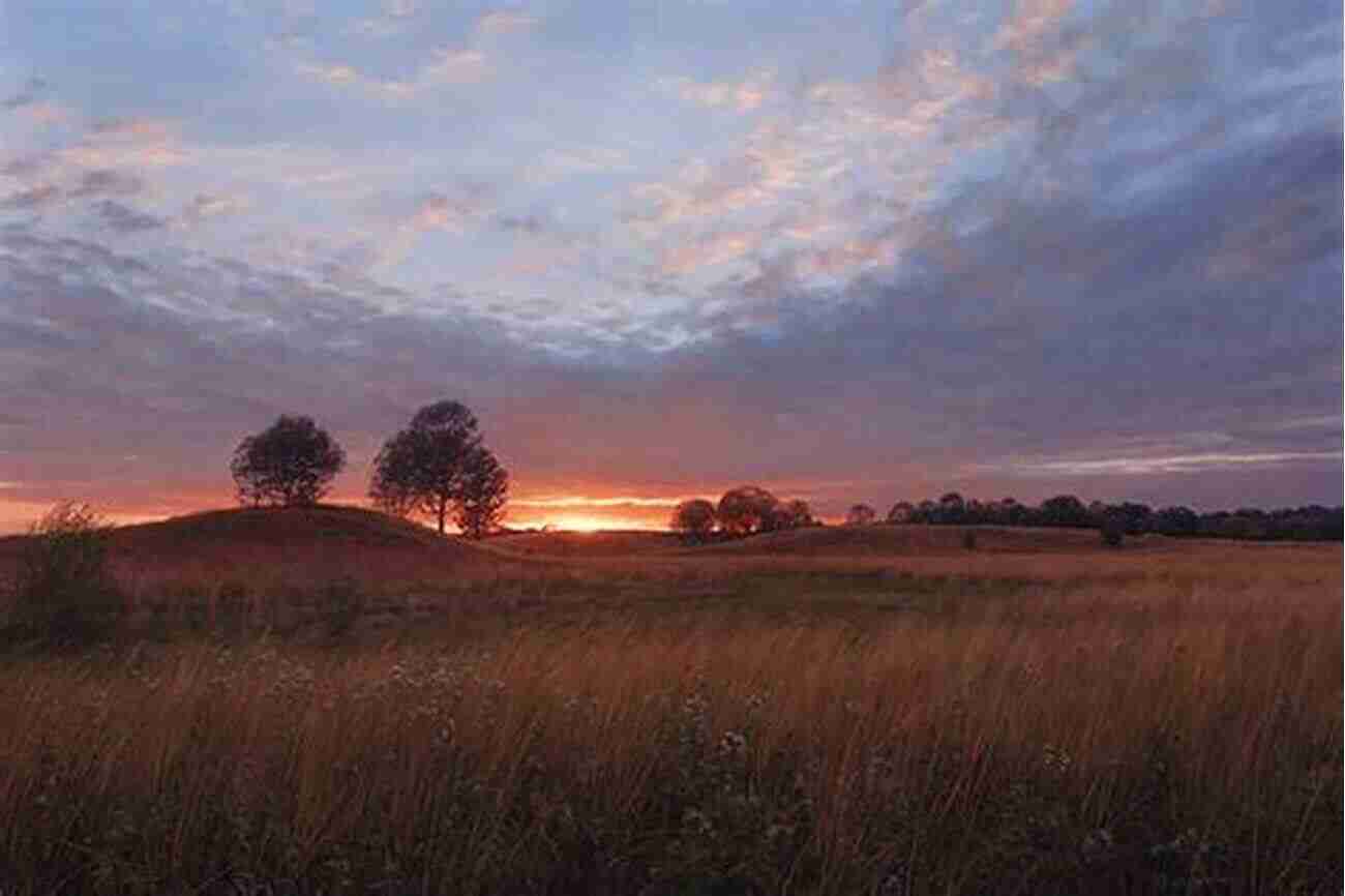 Illustration Of The Illinois Prairies During Sunset Monsters Of Illinois: Mysterious Creatures In The Prairie State