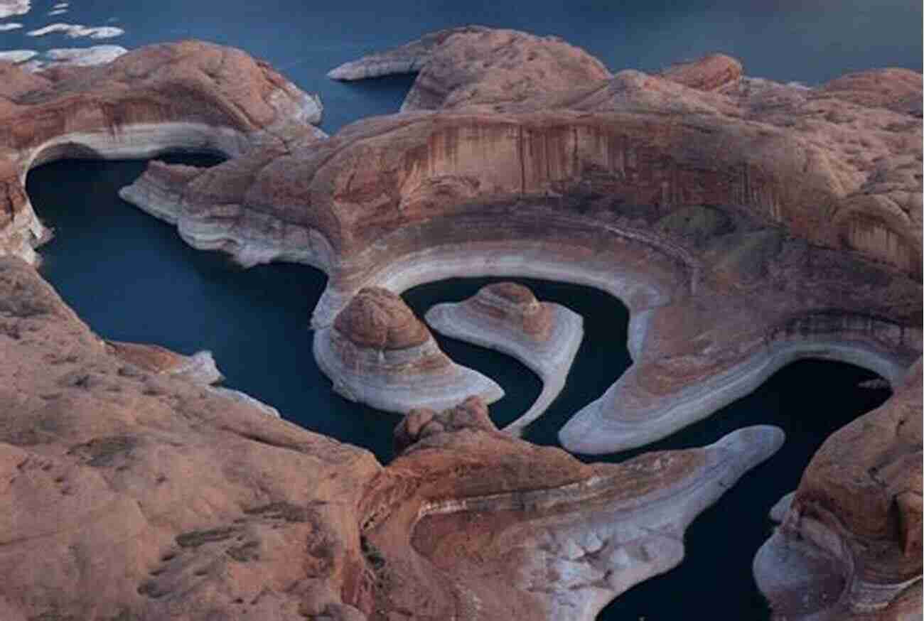 Immerse Yourself In The Wonders Of Lake Powell's Wildlife Lake Powell Tales: An Anthology Of Adventure